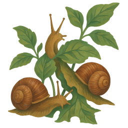 Snails
