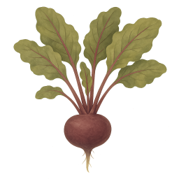Beetroot