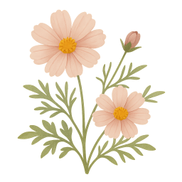 Cosmos