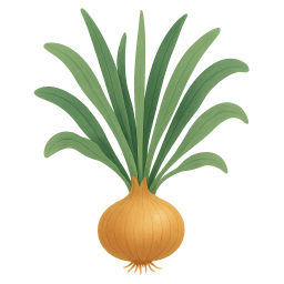 Onion