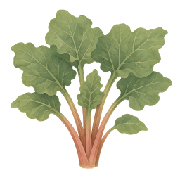 Rhubarb