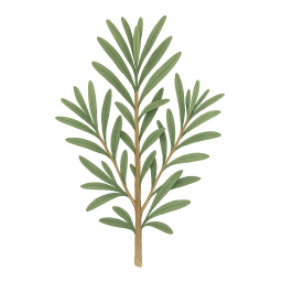 Rosemary