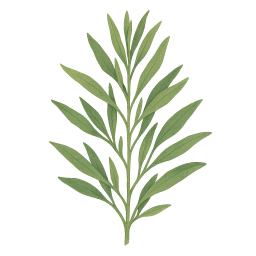 Tarragon