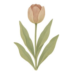 Tulip