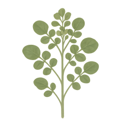 Watercress